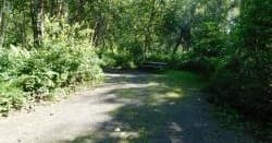 Camp Site 55