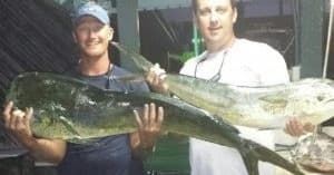Offshore 5-6 Hour Fishing Trip