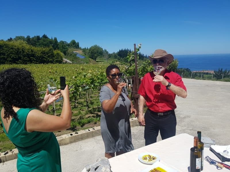 Private Txakoli Wine Tour