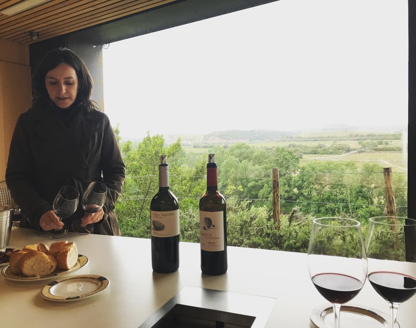 Exclusive Wine Tour of Rioja with Gourmet lunch from Bilbao