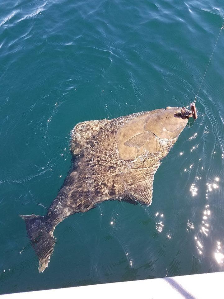 All-Day Halibut Trip