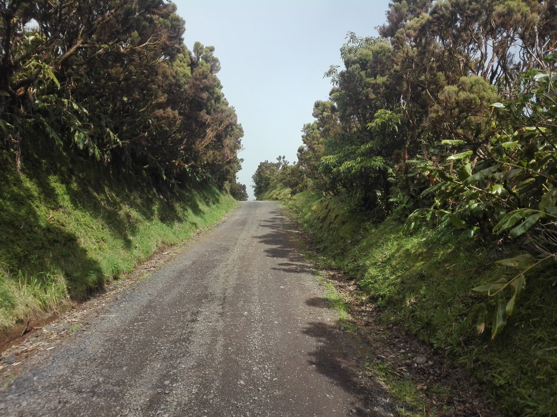 Walking trail + Tasting session + Kayaking