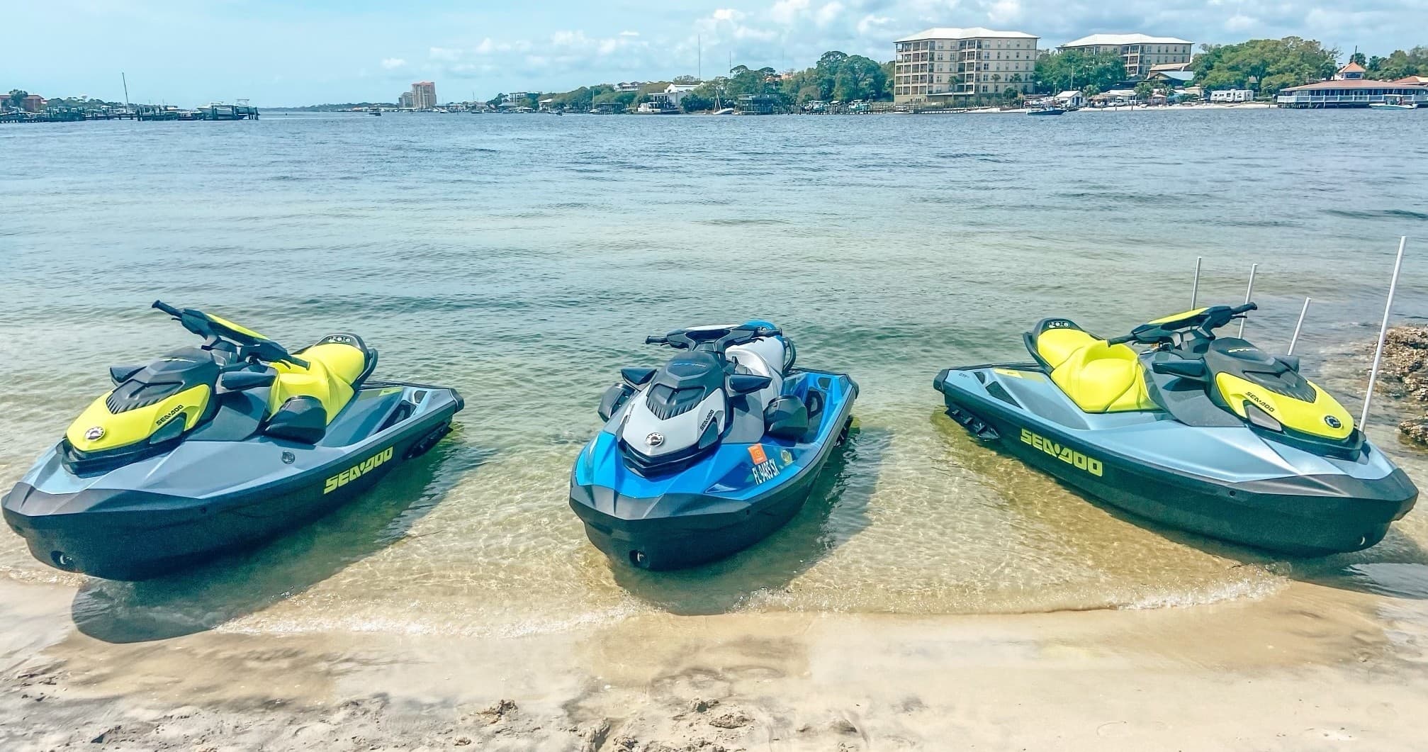 Jet Ski Dolphin Tour