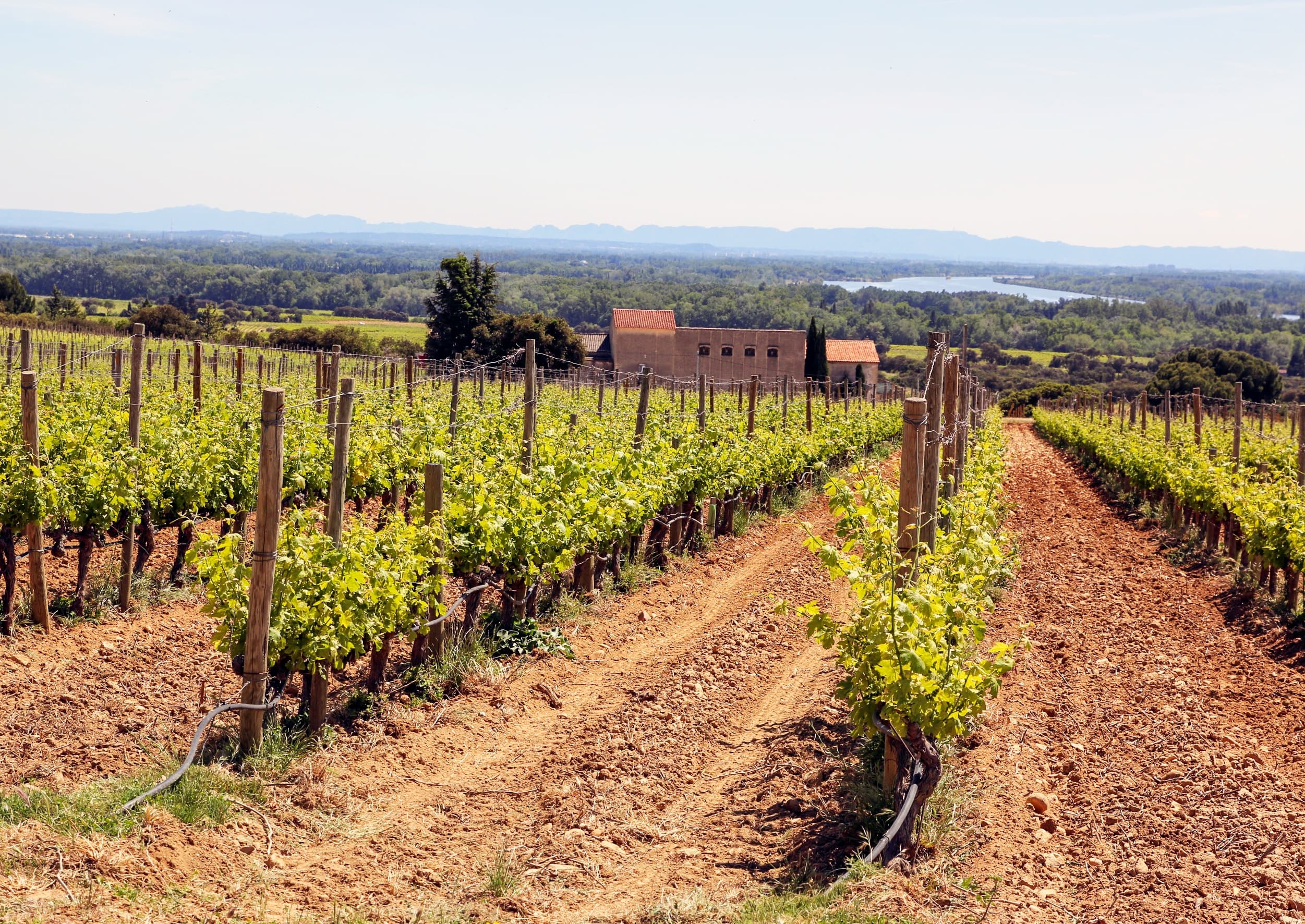 Two intensive days discovering the most famous vineyards of the Châteauneuf-du-Pape & Rhône valley wine appellation