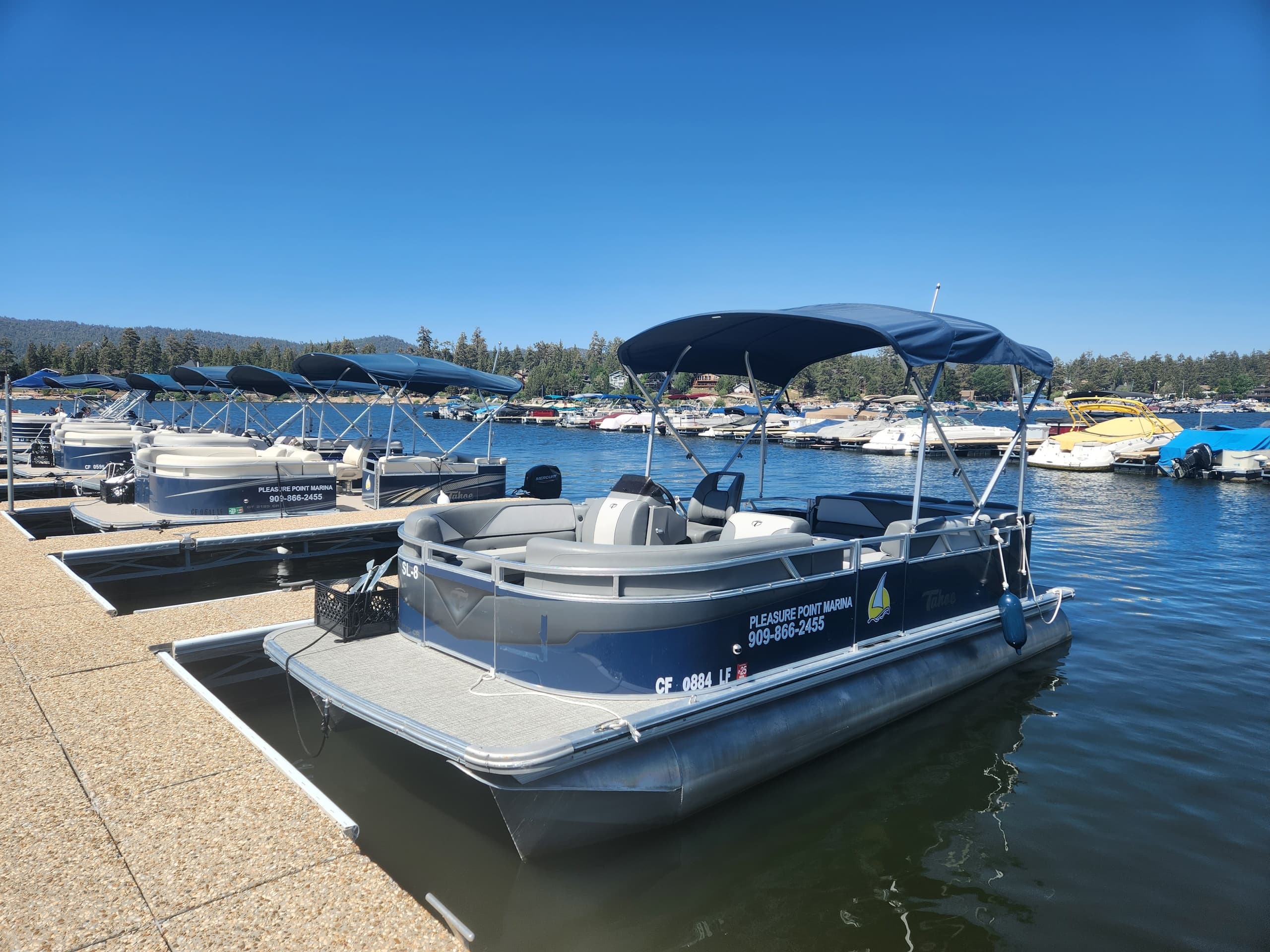 Small Luxury Pontoon Boat Rental