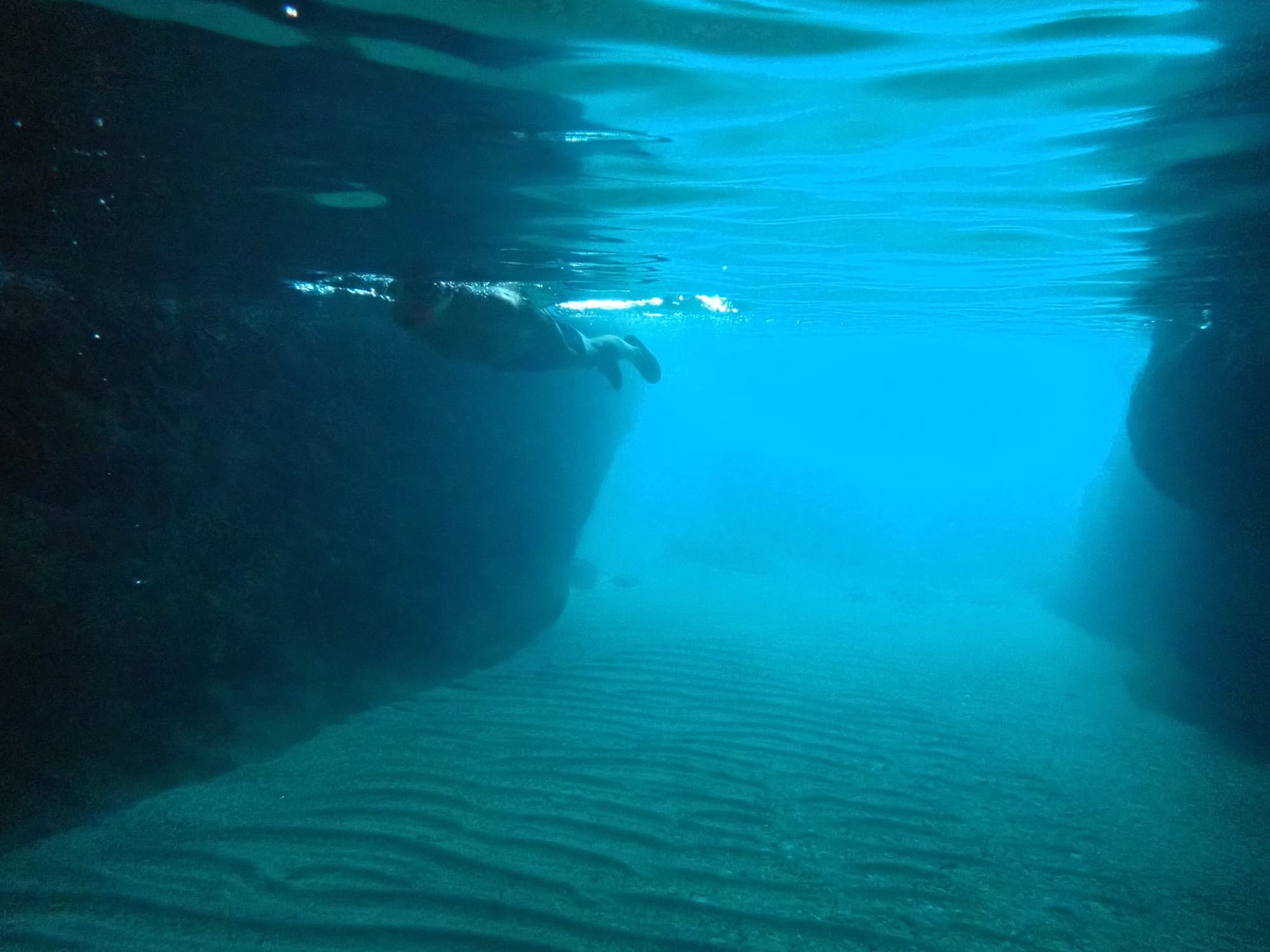 Guided snorkeling around Agia Napa Sea Caves and turtle spotting along east Cape Greko - upto 6 h from Ayia Napa/Protaras
