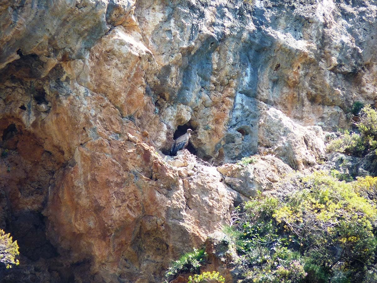 Sirikari Gorge