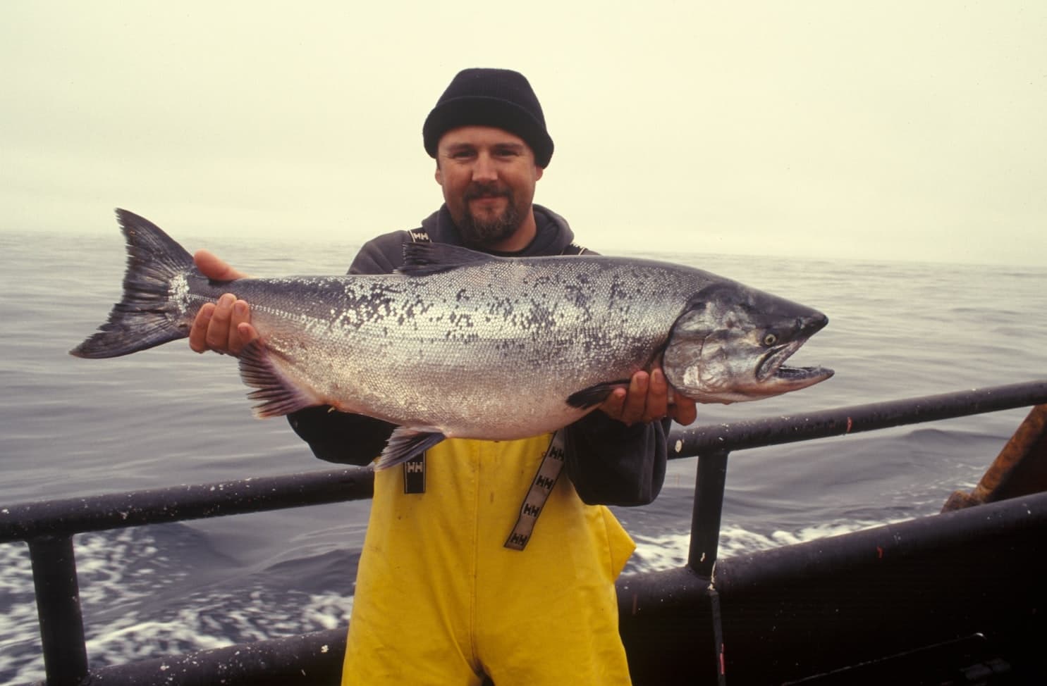 Salmon & Groundfish Combo