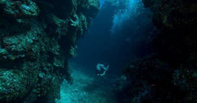 One Day Diving
