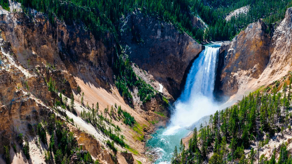 Best of Yellowstone - Private Tour