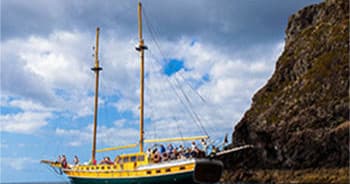 Bonita da Madeira  Wooden Gullet" - Desertas Island"