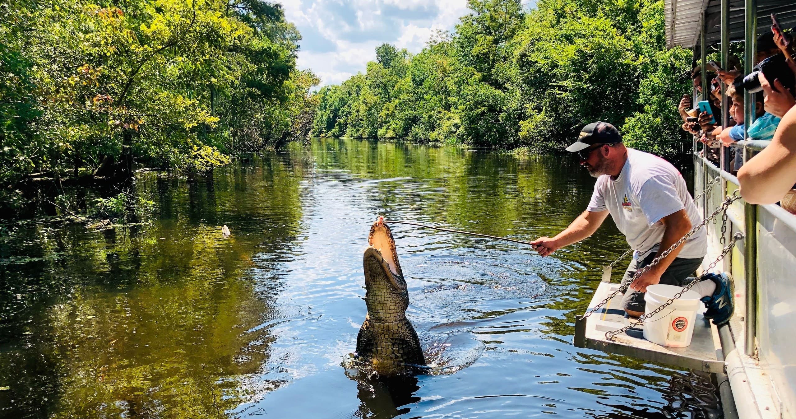 Swamp Boat Cruise & Oak Alley Plantation Tour from New Orleans