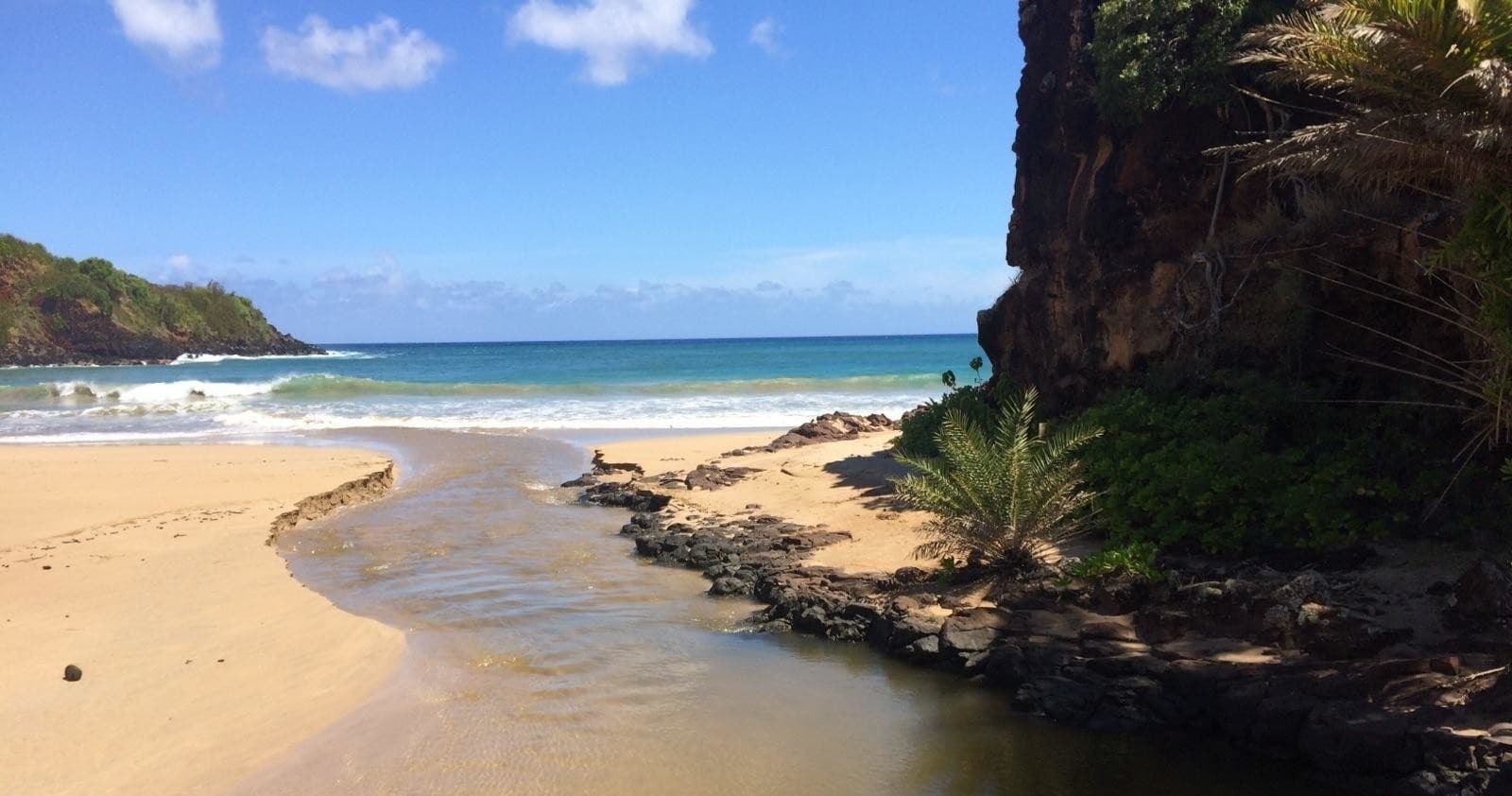 Best of Kauai Tour