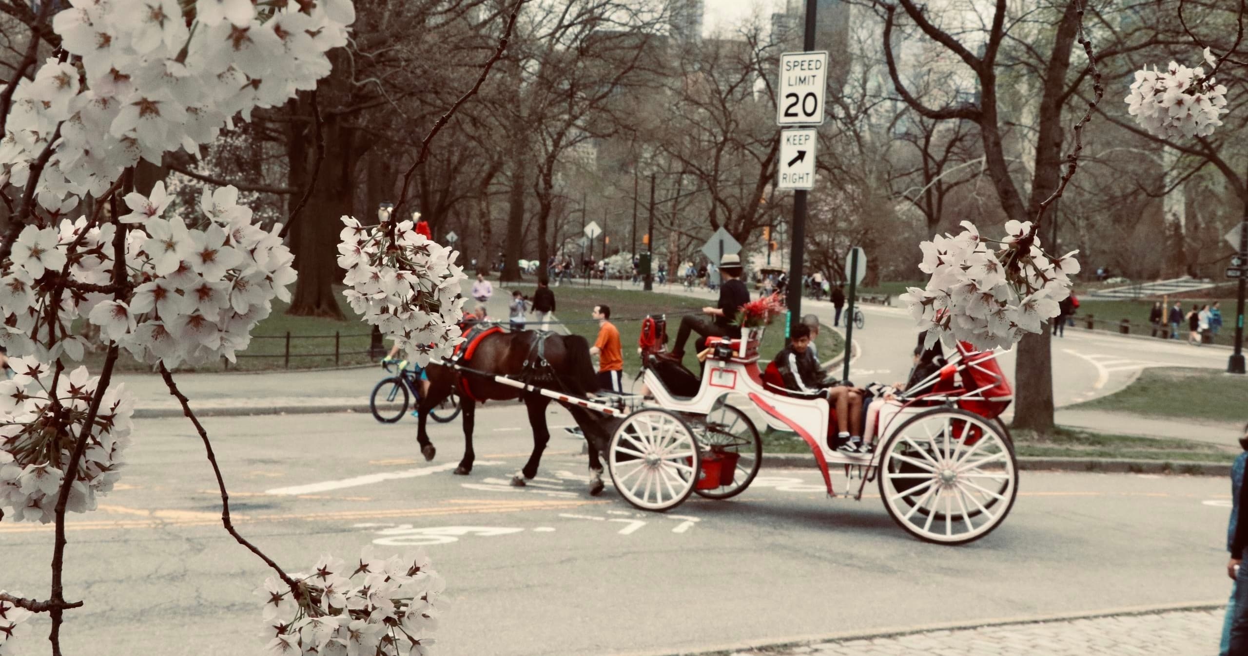Romantic (Proposal - Anniversary) Central Park Horse-Drawn Carriage Tour