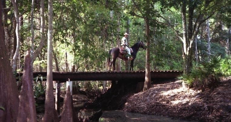 Waitlist - Horseback Trail Ride