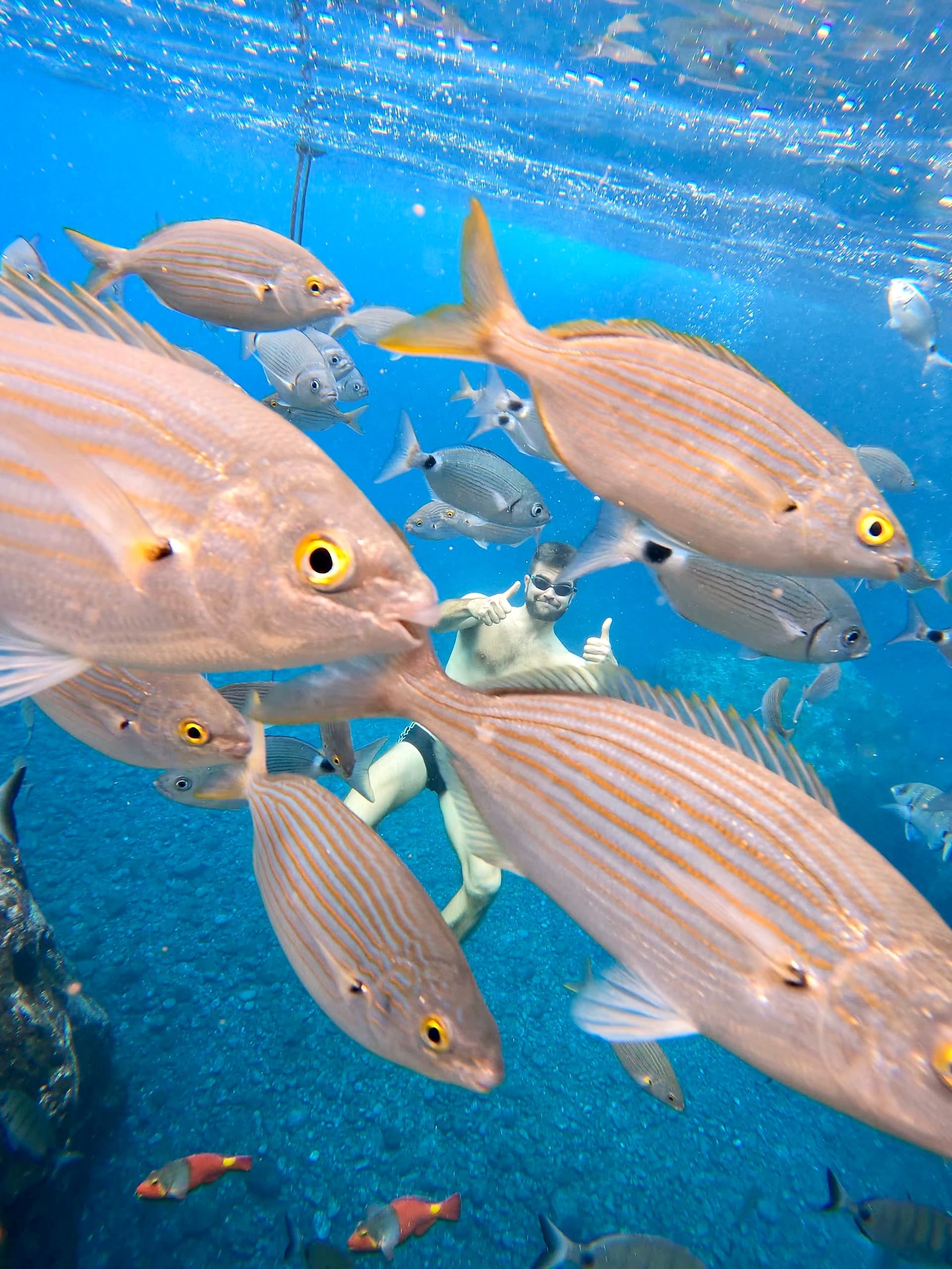 Garajau Swim Tour - Half Day