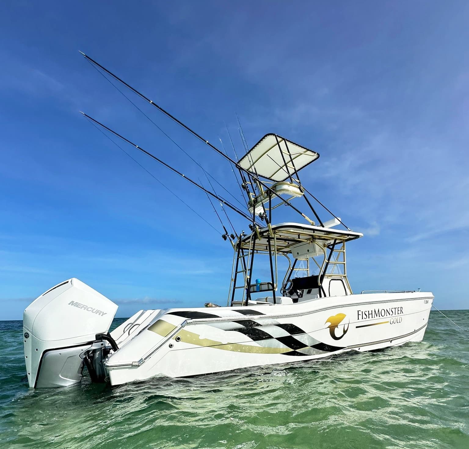 FishMonster Gold - Reef, Wreck & Trolling