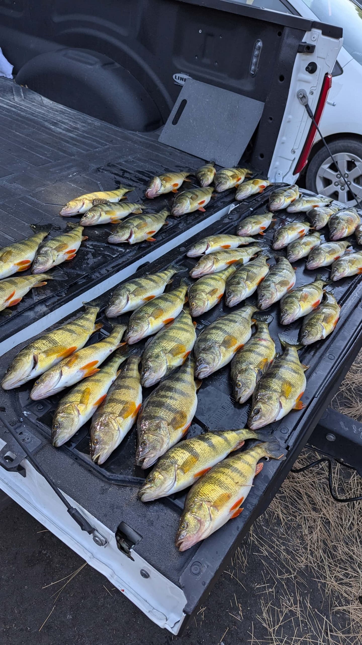 Open Water Perch Fishing on Cascade Lake