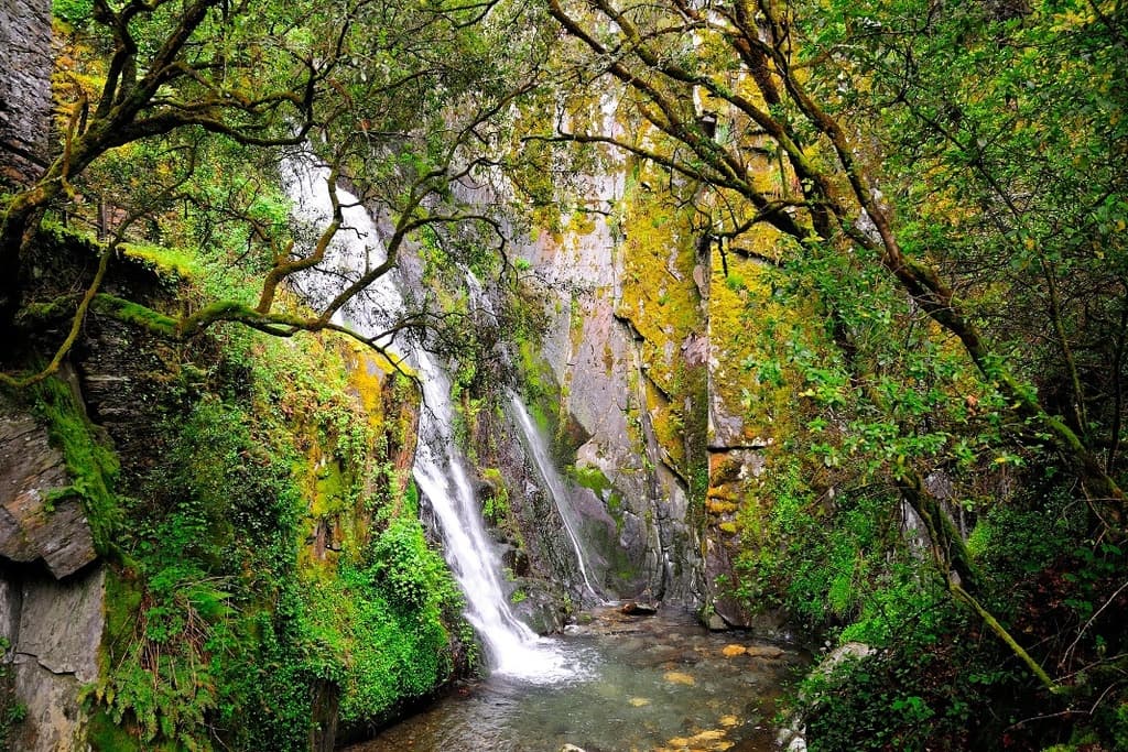 Caminhada da Mata da Margaraça