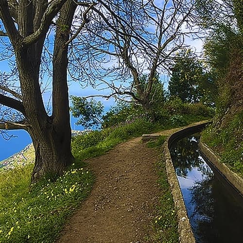 Vale da Serra D'água