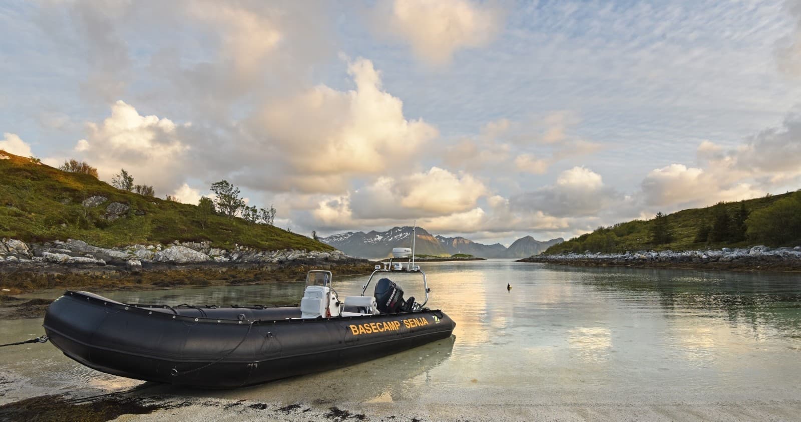 Half Day fjord expedition outer Senja