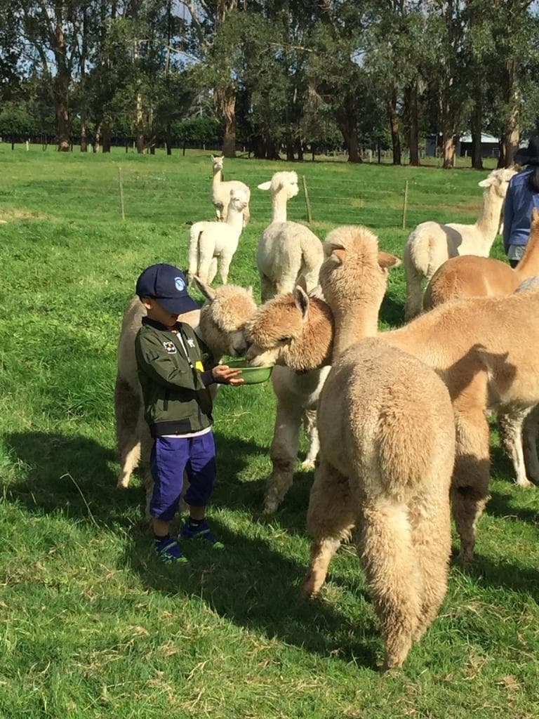 In-Paddock Feeding Tour