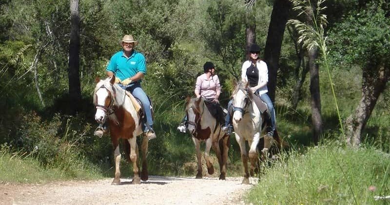 Excursión Privada 2 horas