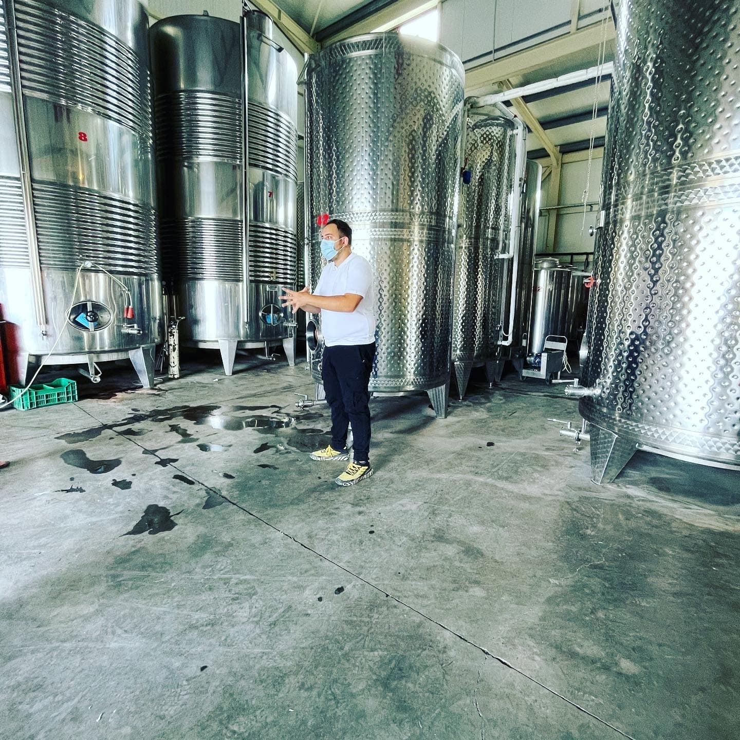 Premium Attica Wine Tour