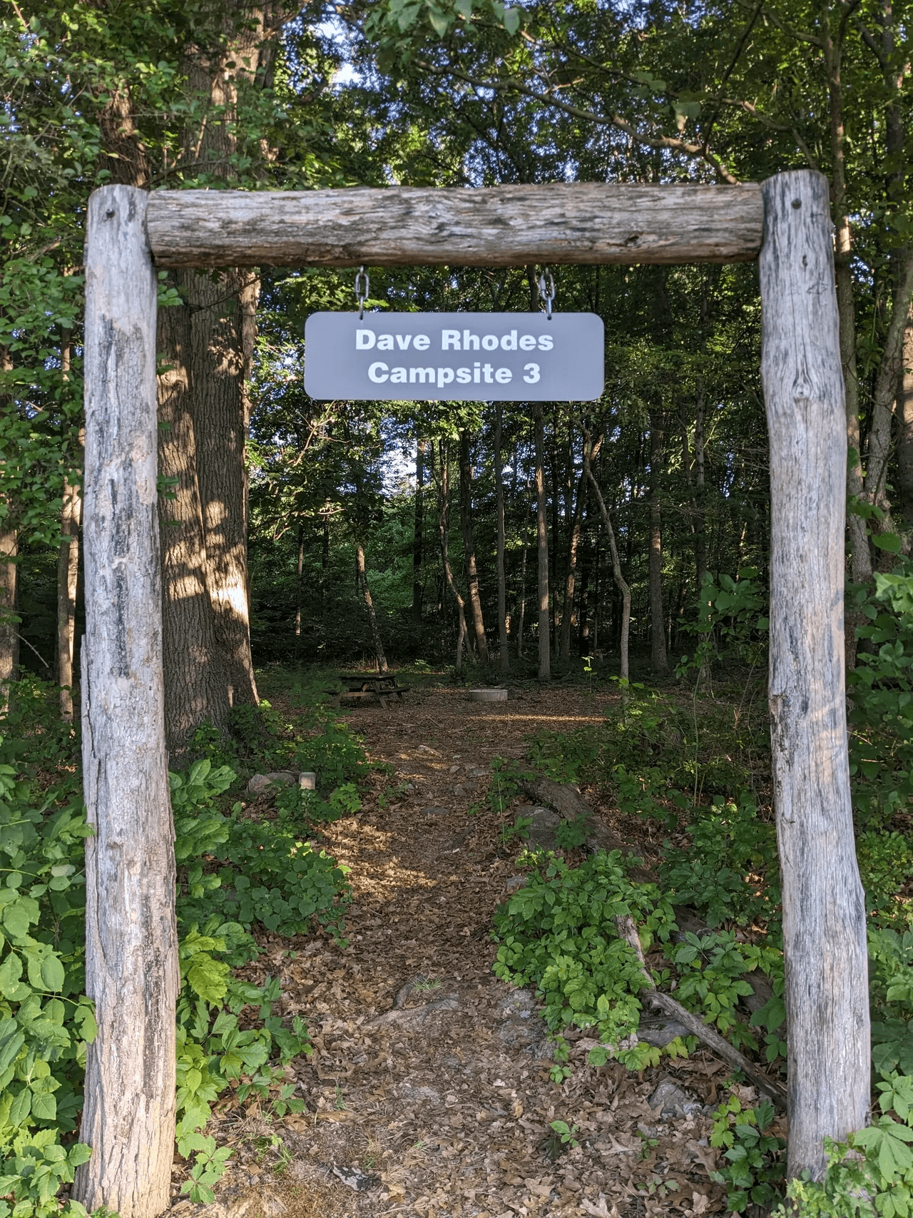 Site 3 - Dave Rhodes