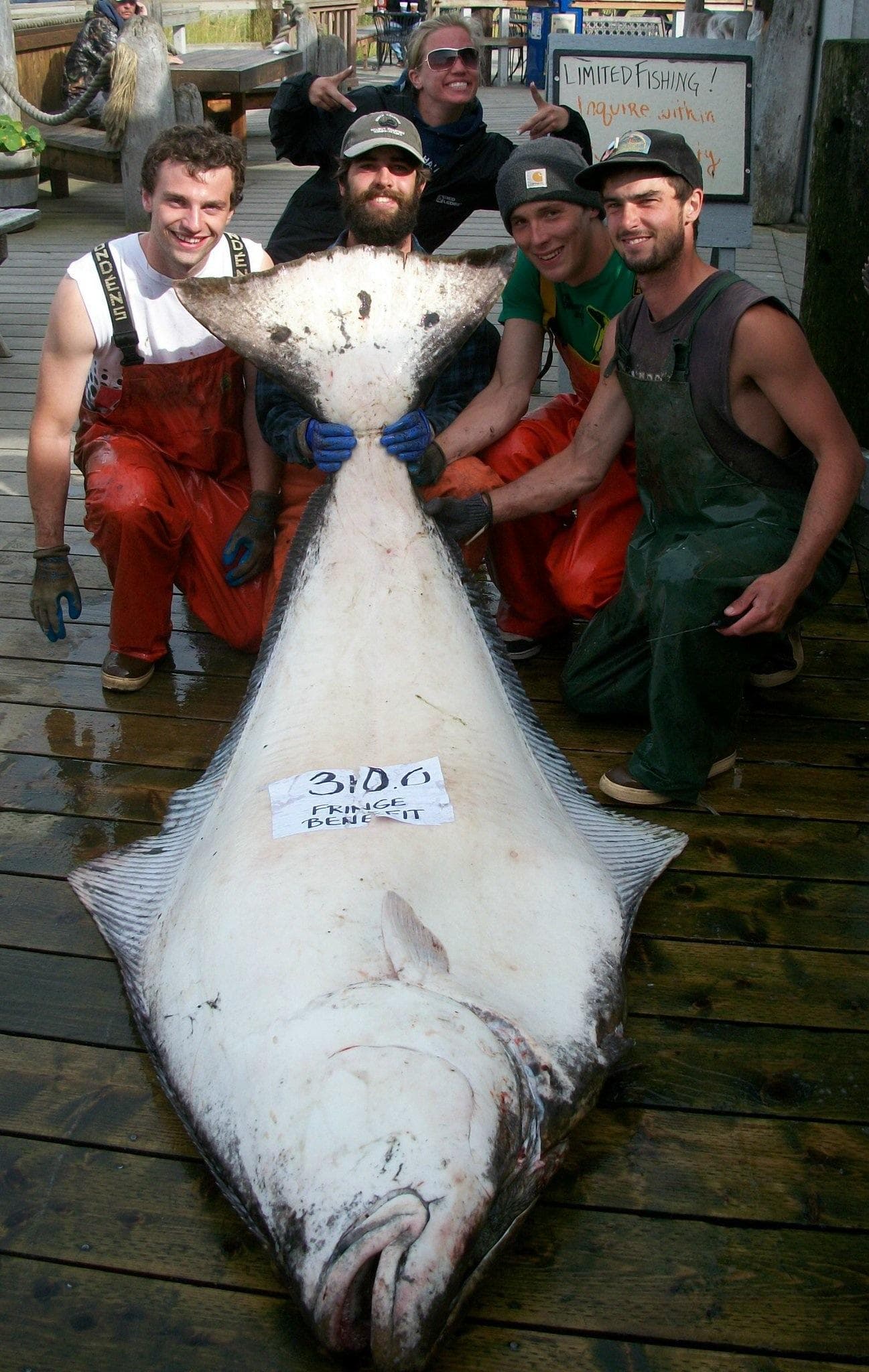 Halibut Fishing on the West Cape