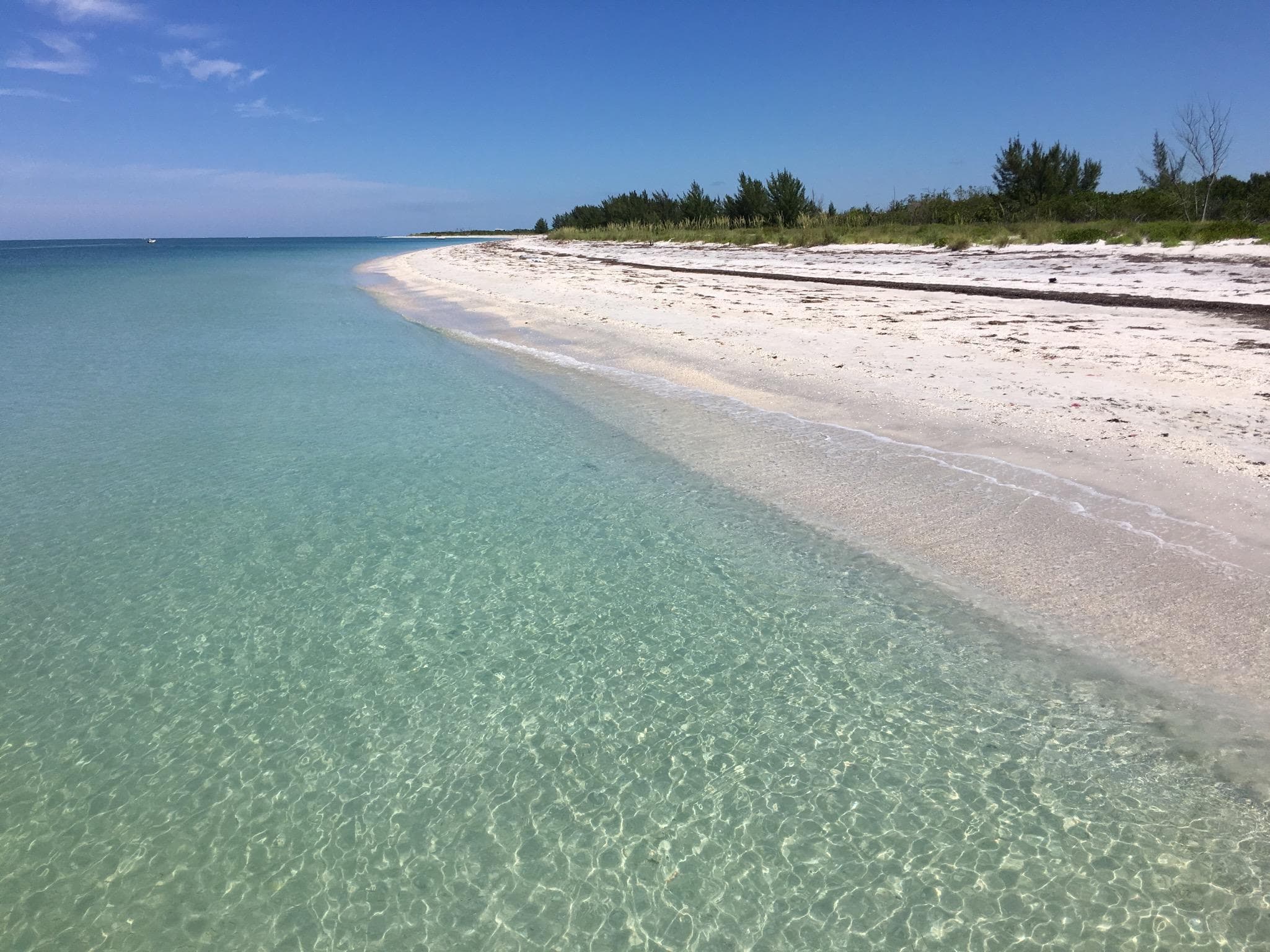 Cayo Costa Shelling Cruise