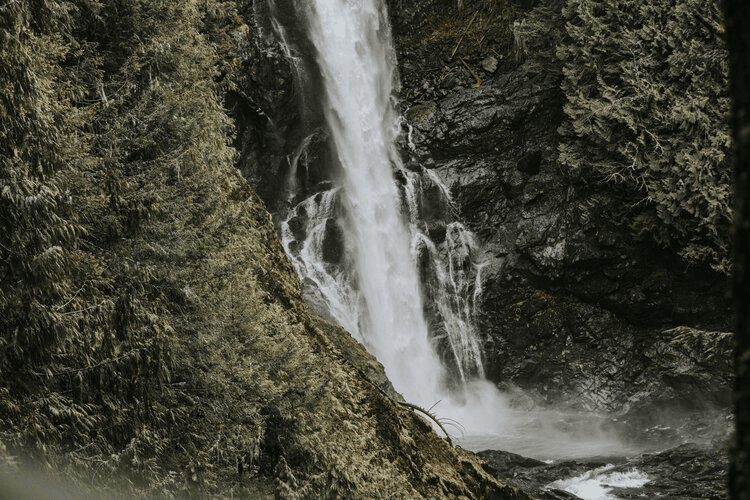 Rainforest & Waterfall Hike