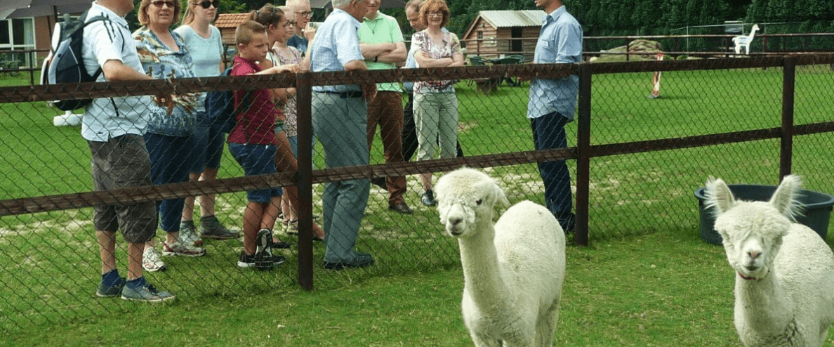 Korte Rondleiding