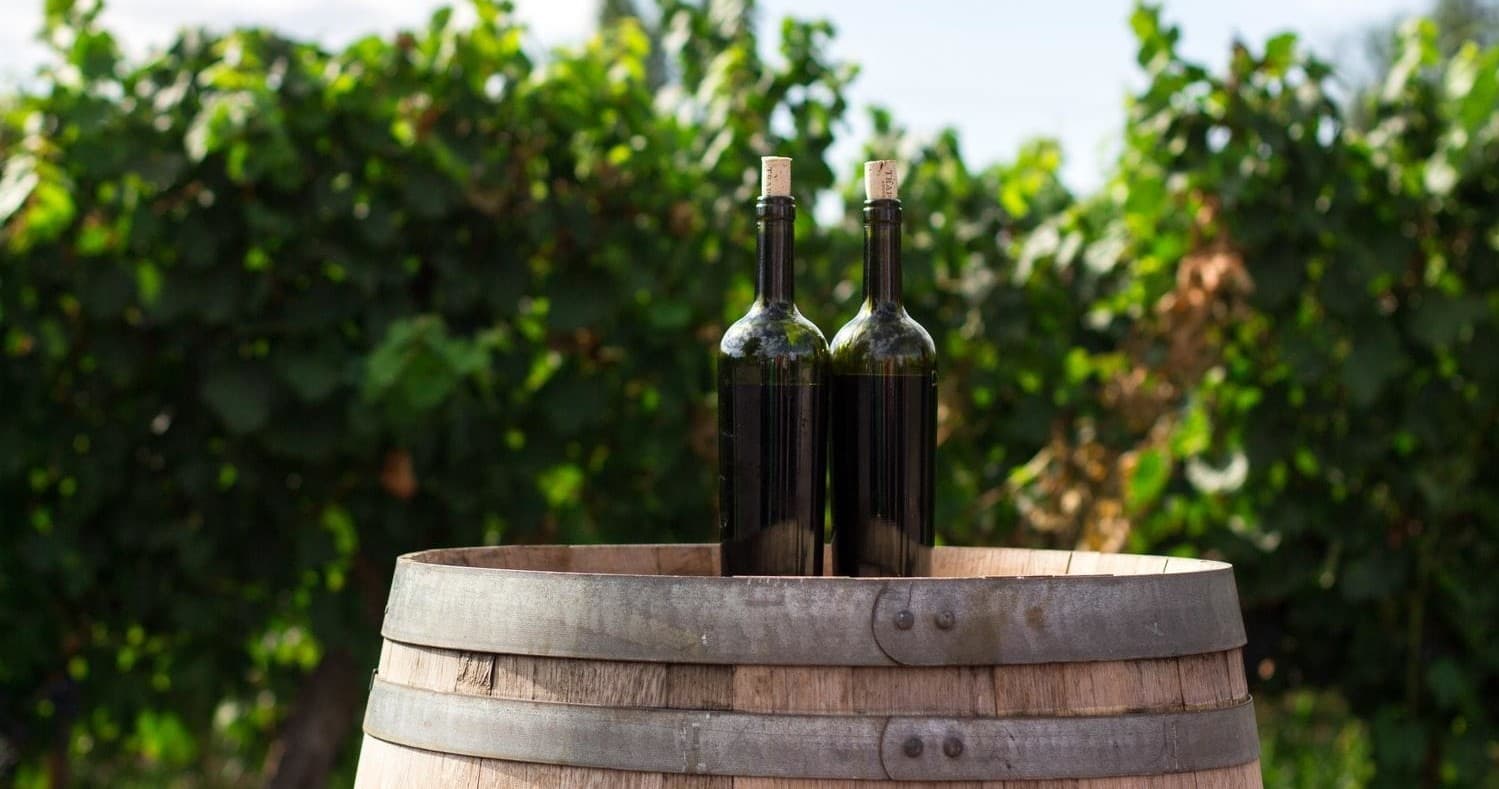 Rioja Wine Tour