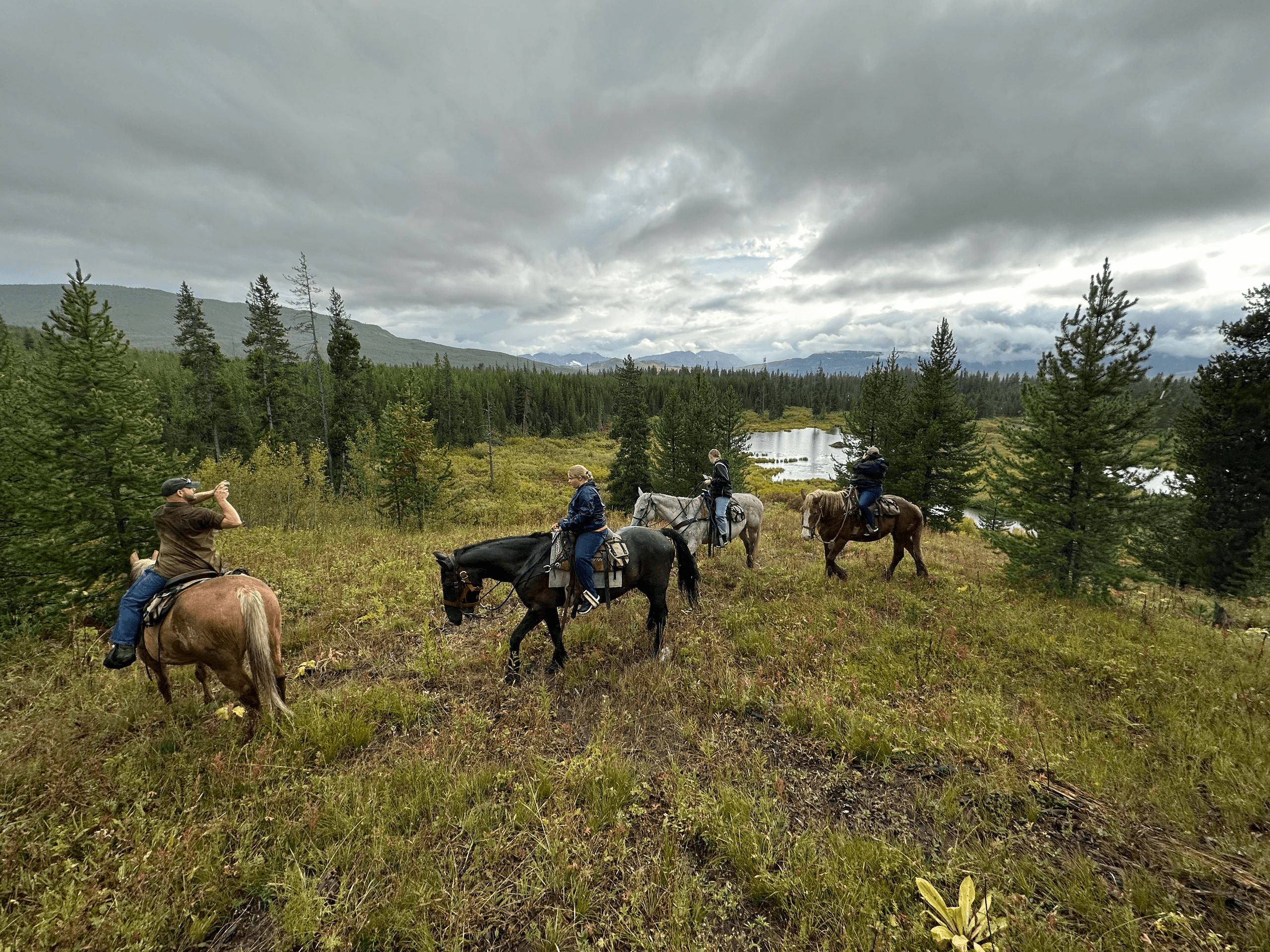 Public Trail Ride on Horseback & Grand Teton Tour