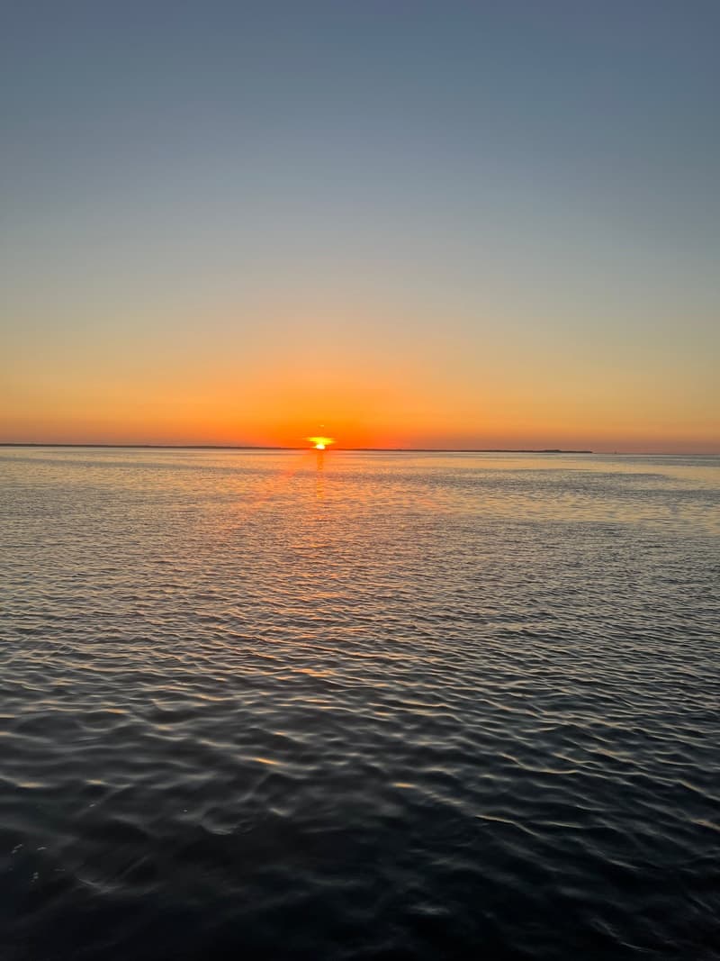 Sunset Tours and Tiki Bars