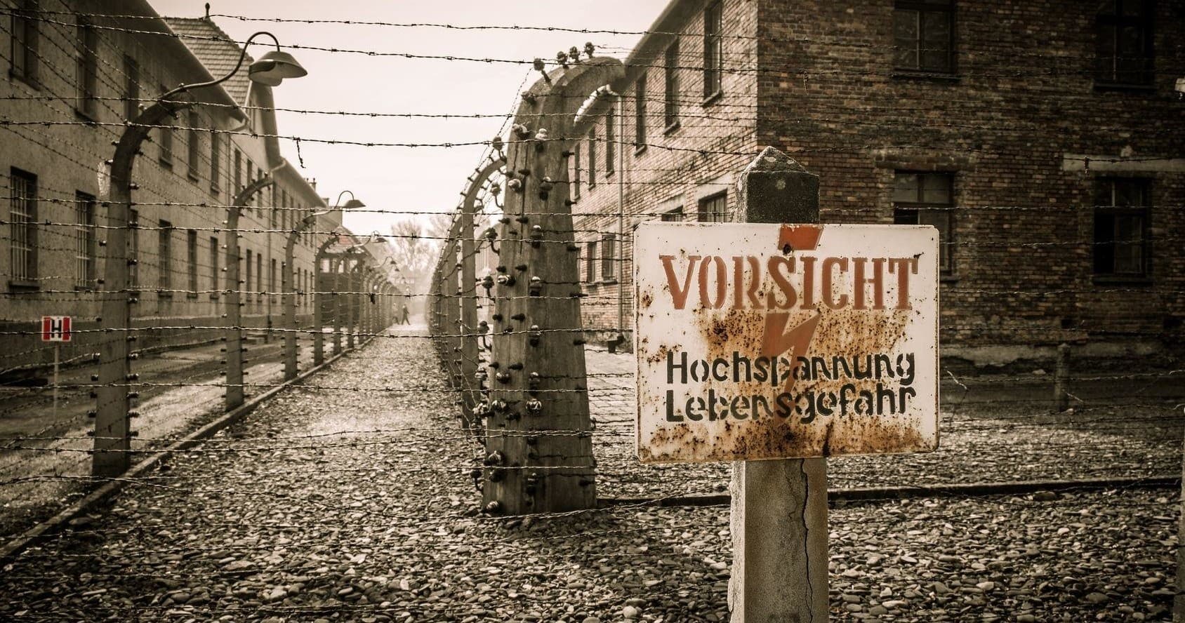 Krakow & Auschwitz Day Tour from Warsaw