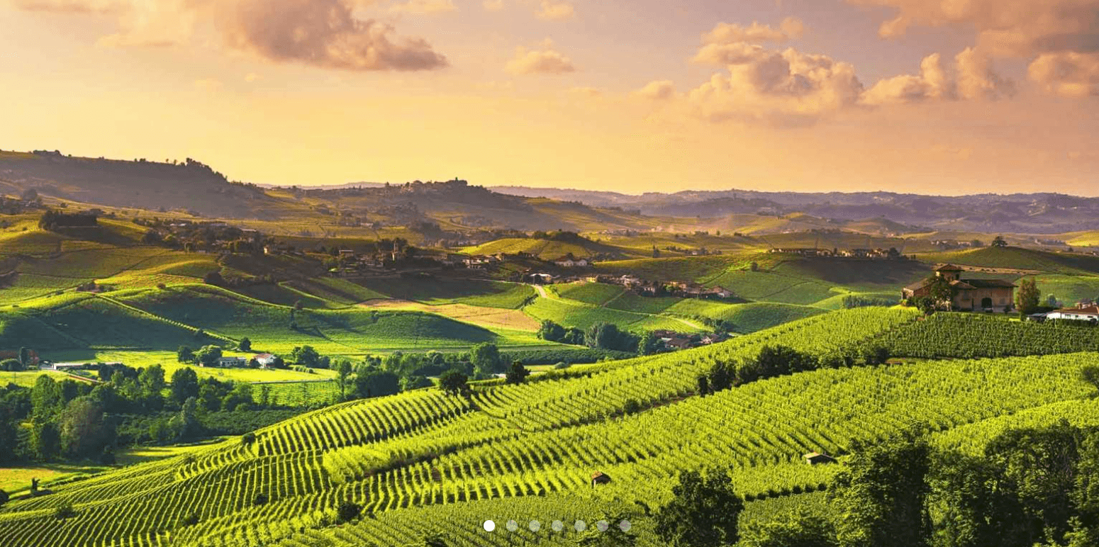 Turin from: Langhe wine tour with Transfer and Lunch
