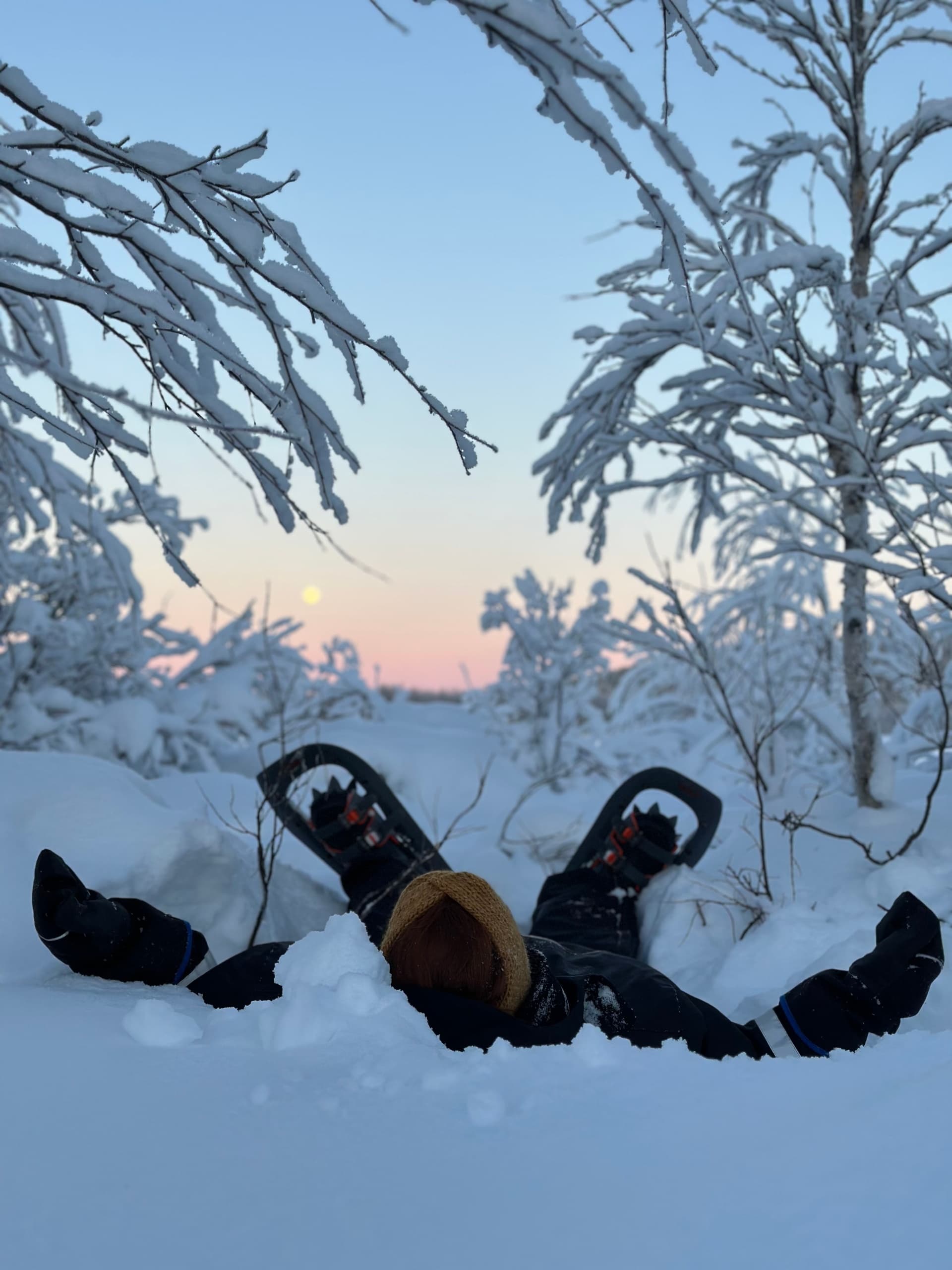 Snow Forest Trek