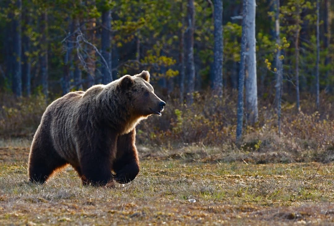 Grand Teton: Private Sunrise Tour