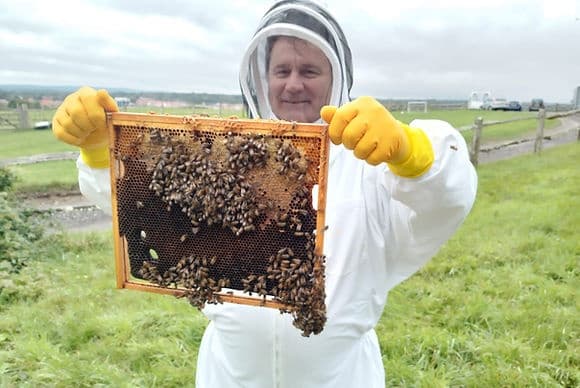 Bee a Beekeeper Experience - Experience the Buzz