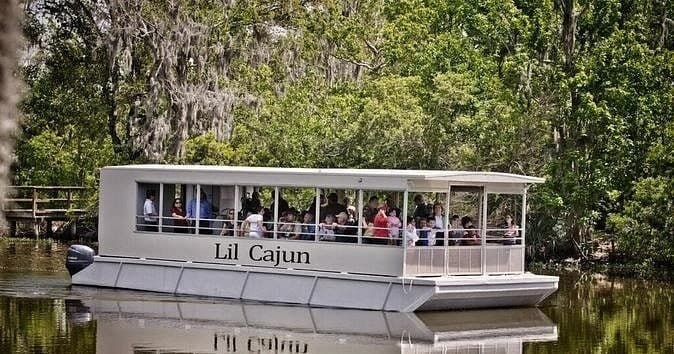 Swamp and Bayou Tour