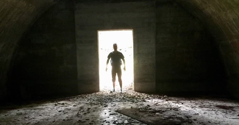 War Bunkers and Wildlife