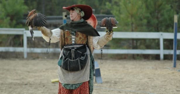 Falconry Apprentice Workshops