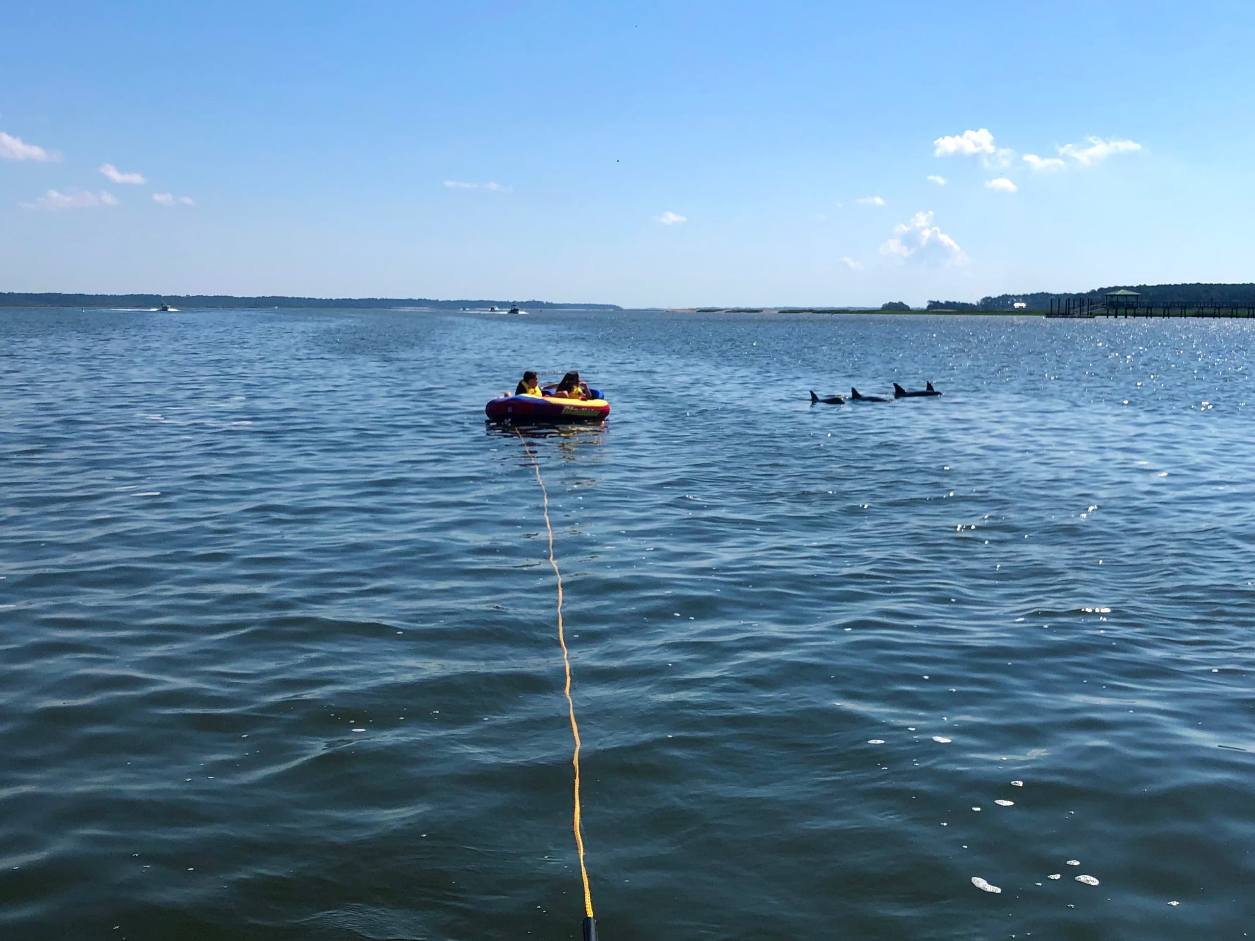 Tubing and Dolphin - 6 max