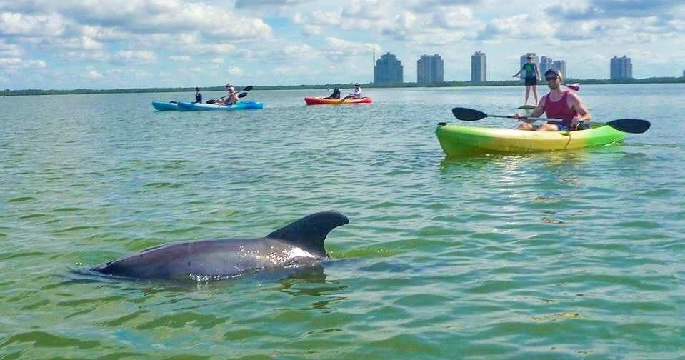 Guided Eco Tour - Pedal Single Kayak
