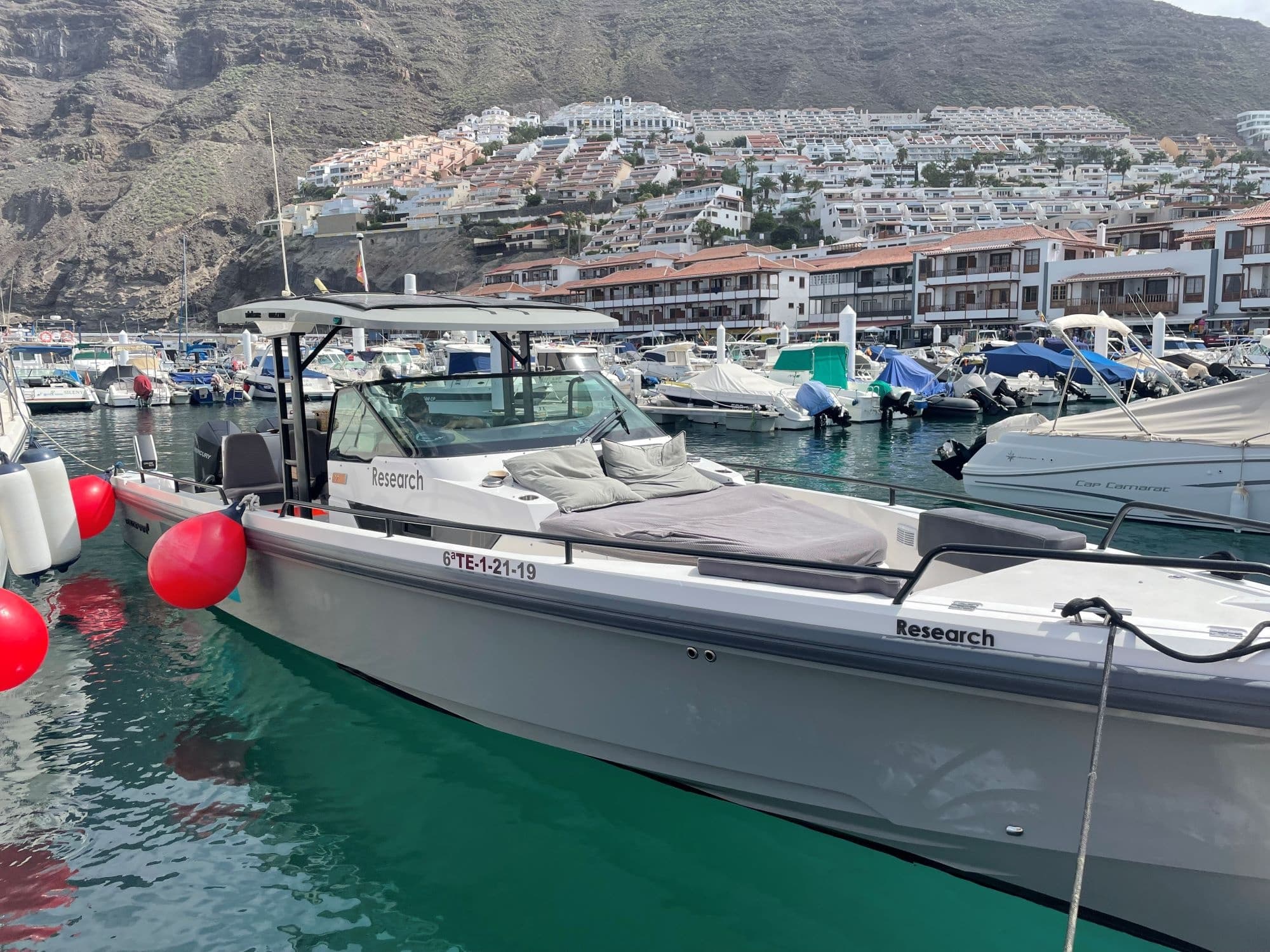 Tenerife Whale & Dolphin Observation (Private Experience)