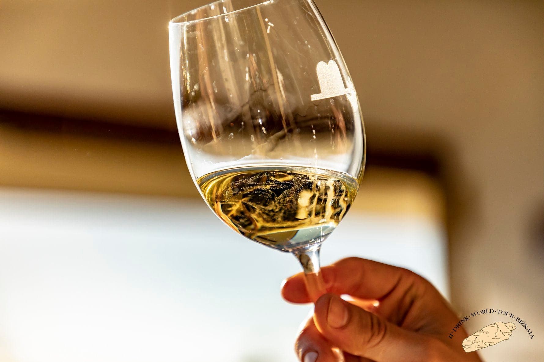 Tour privado de vino txakoli desde Bilbao