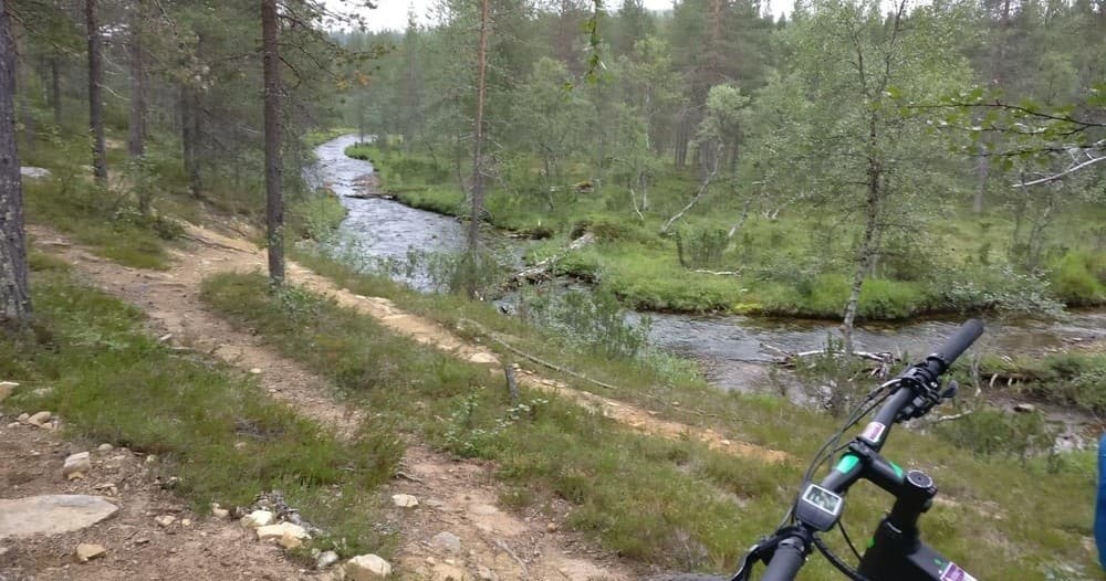 [F7] Electric Fat Bike Safari (2h)