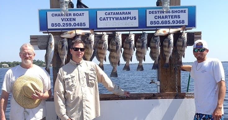 4 Hour Inshore Bay Fishing